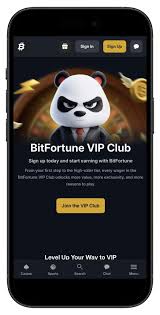 Bitfortune for New Users Your Ultimate Navigation Guide