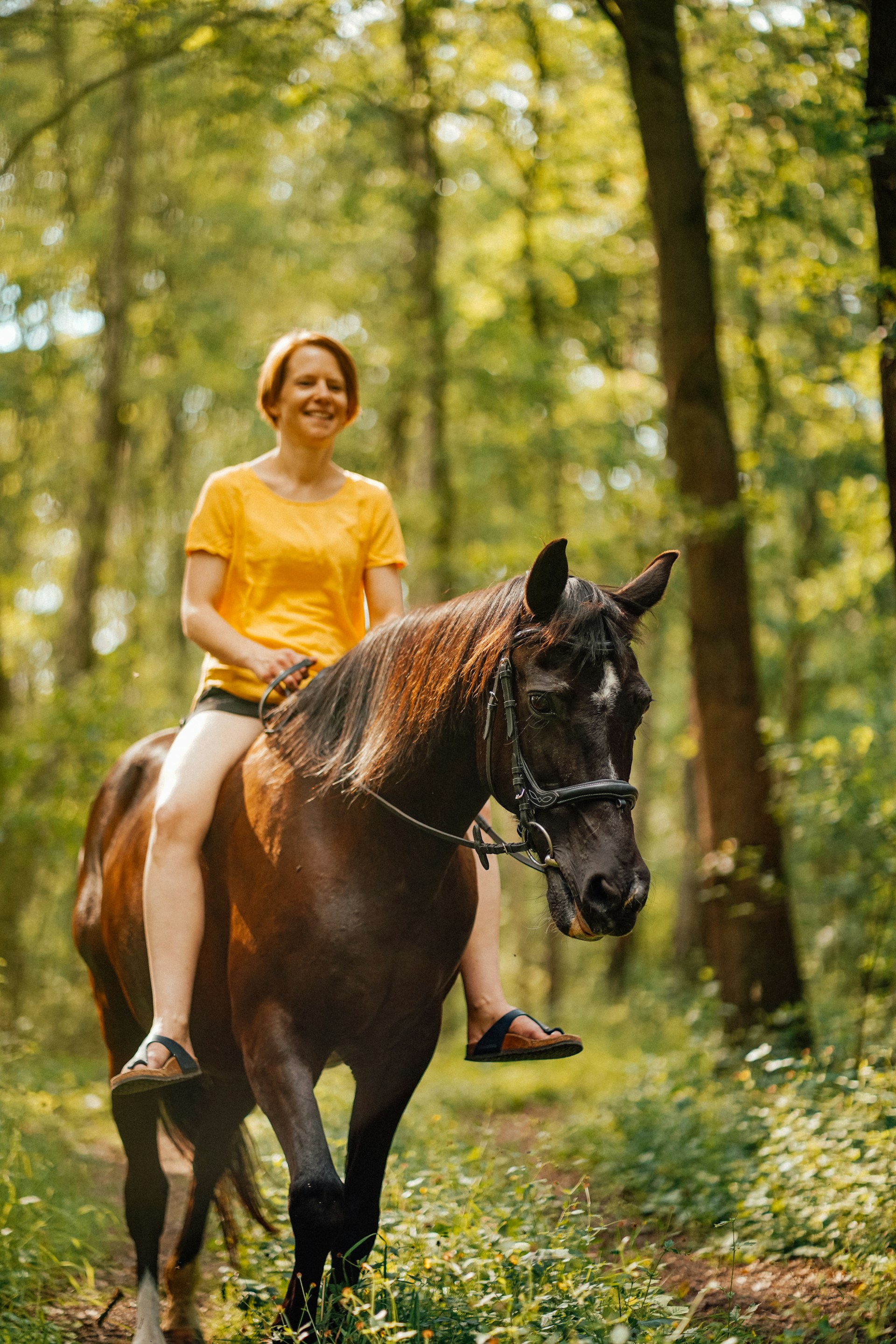 Horse Riding
