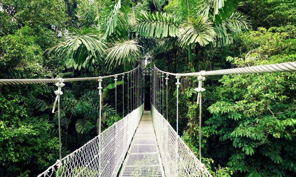 ARENAL VOLCANO & HOT SPRINGS