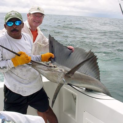 sailfish in costa rica