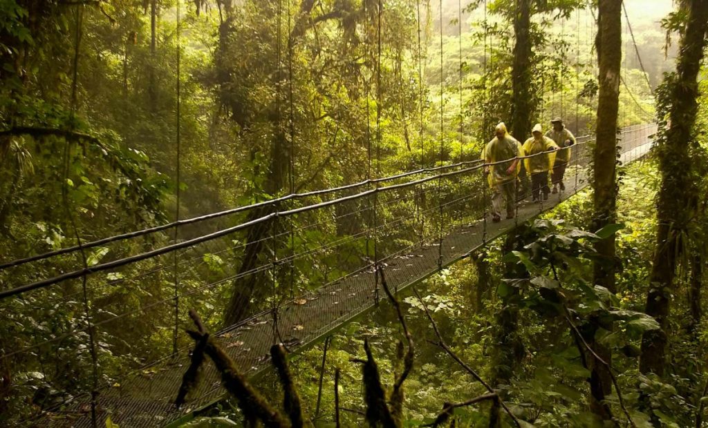 MONTEVERDE CLOUD FOREST… ONE DESTINATION, THREE OPTIONS